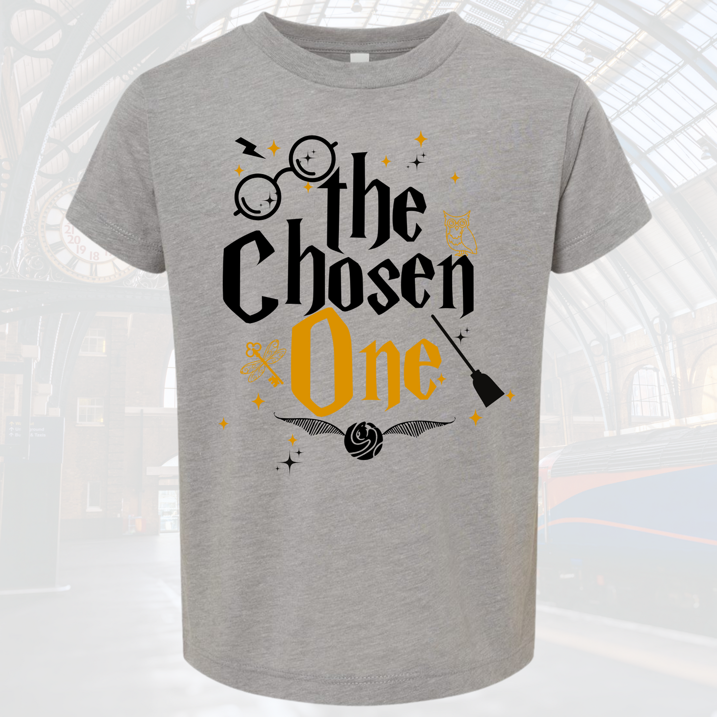 Harry Potter The Chosen One Birthday Tee Shirt, grey with themed designs, perfect for fans.