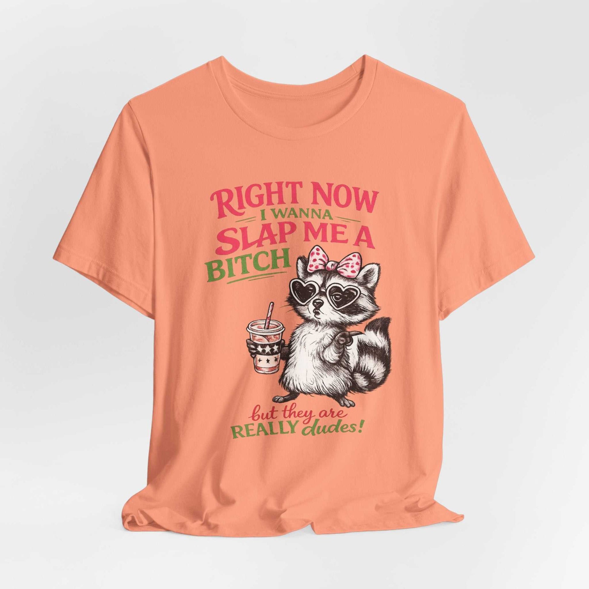 Raccoon graphic tee with sarcastic "Right Now I Wanna Slap Me a BITCH" retro pink and sage green lettering
