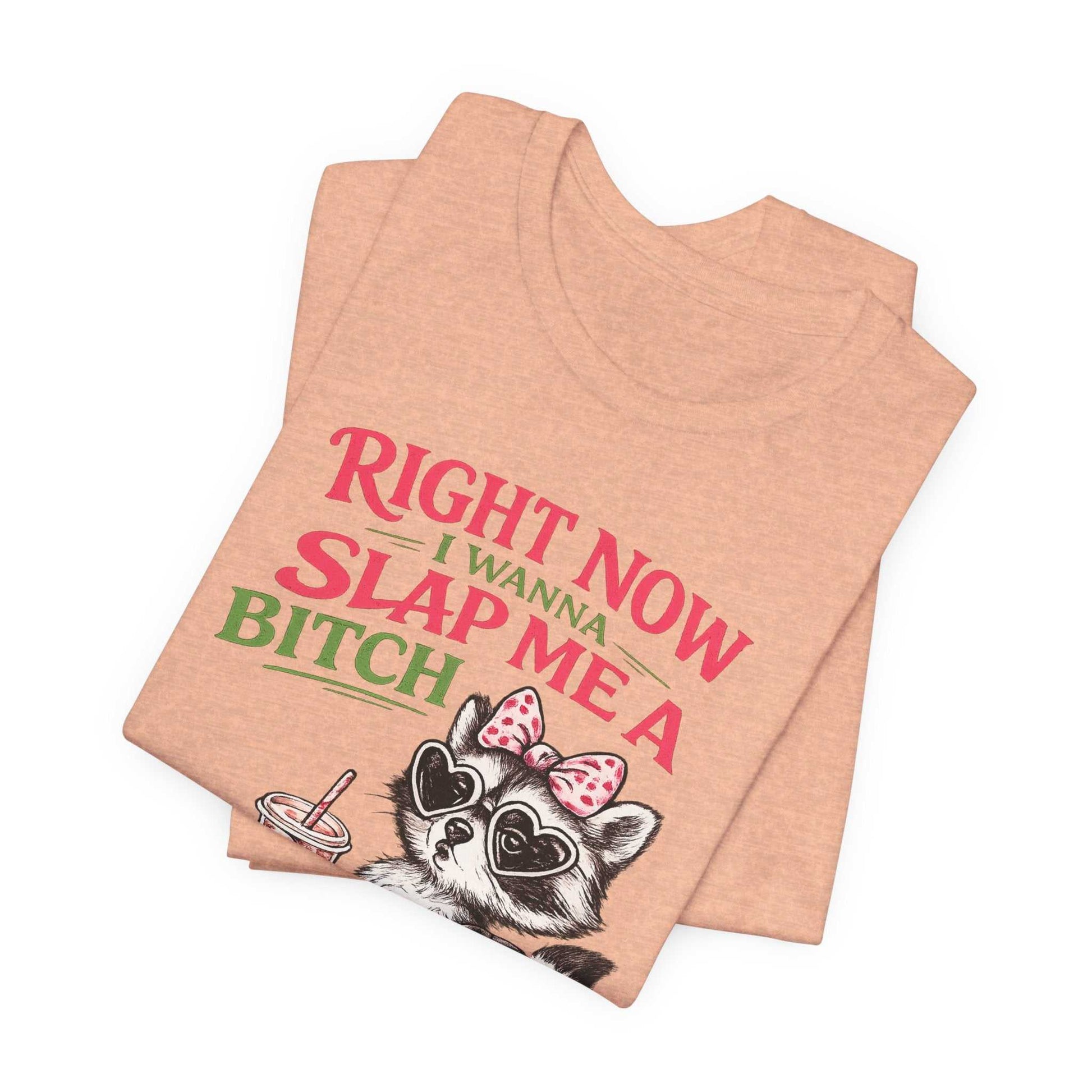 Graphic tee with sassy raccoon and "Right Now I Wanna Slap Me a BITCH" quote in retro pink and sage green lettering