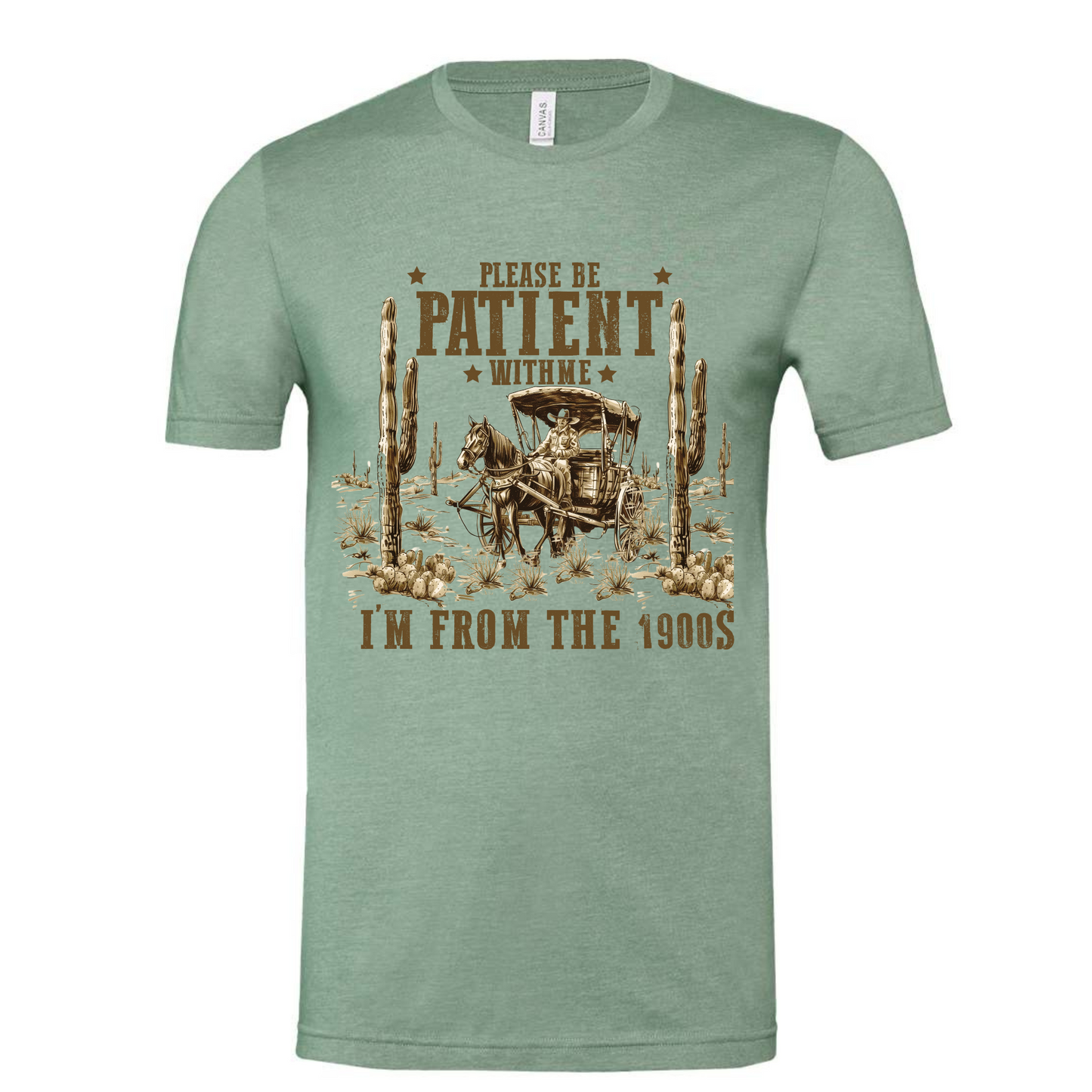Funny shirts for adults about age in sage green