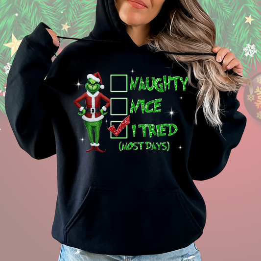 Naughty? Nice? I Tried Hoodie