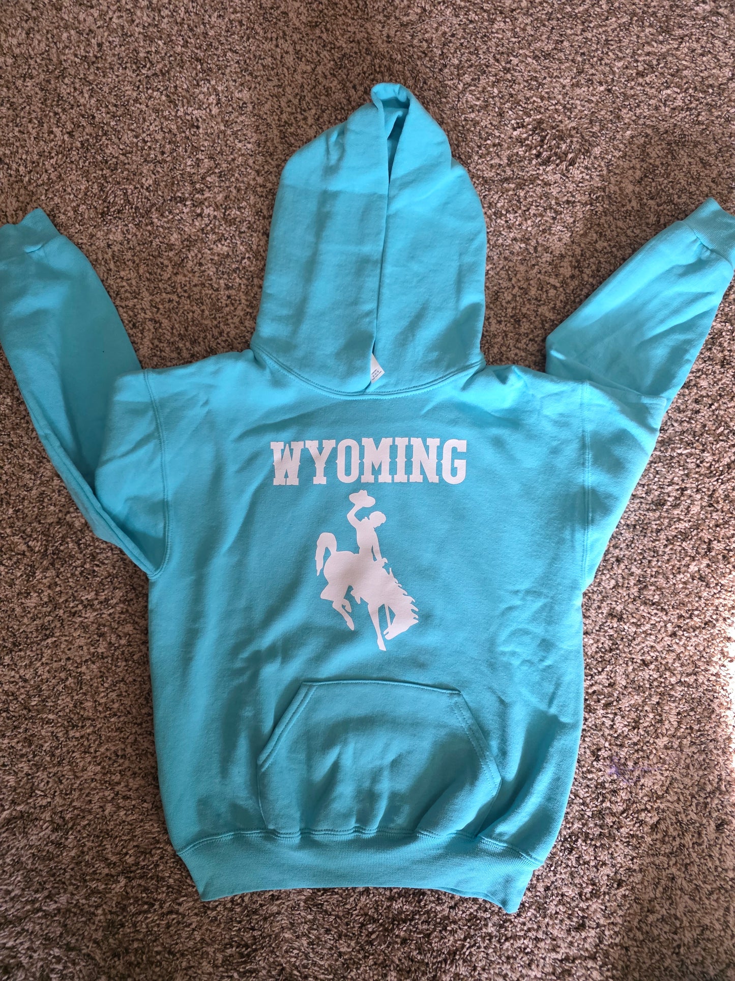 Wyoming cowboy kids hoodies